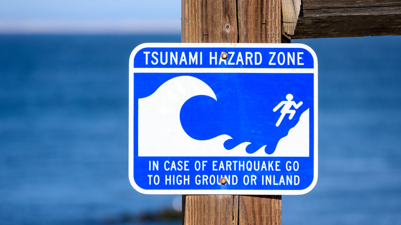 A beachfront signpost in Hawaii