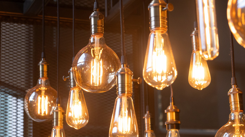 An array of lit decorative Edison bulbs hangs from the ceiling.