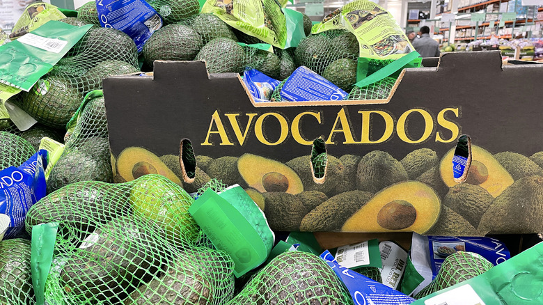 A bountiful display of bagged Hass avocados in a Costco store.