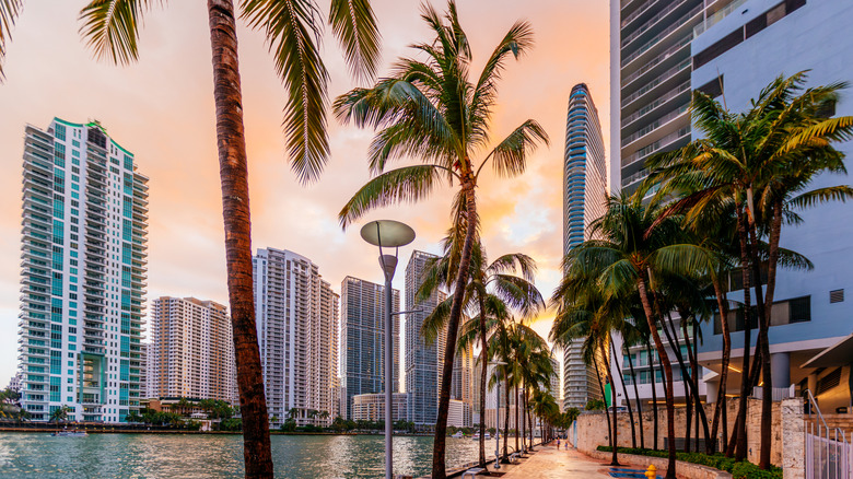 A boardwalk in Miami, Florida at sunset