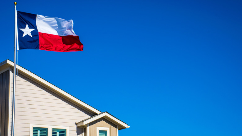 A Texas flag flying on a flagpole in front of a house.