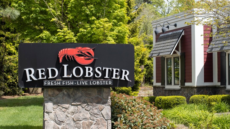 red lobster restaurant