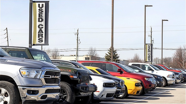 A used car dealership lot