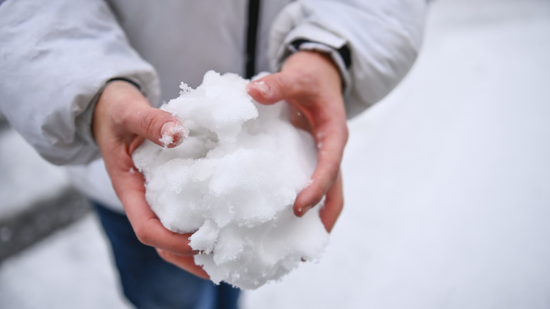 person holding a snowball