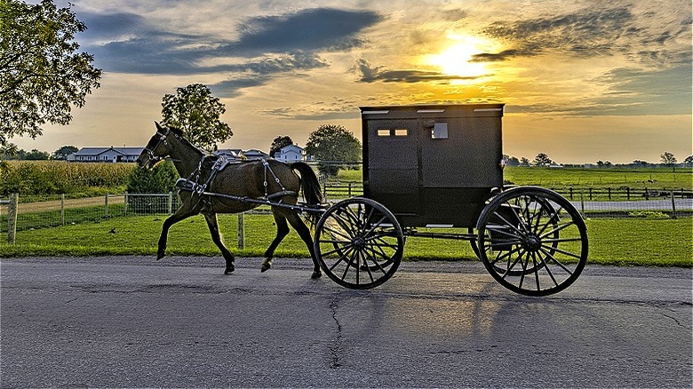 Amish horse and buggy