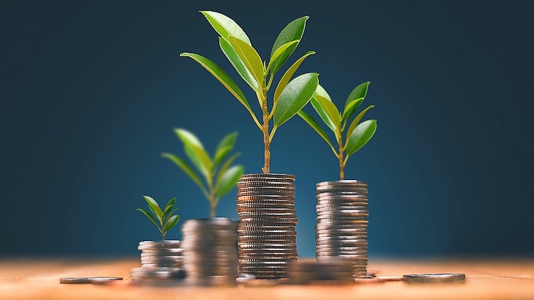 Stacks of coins with leaves