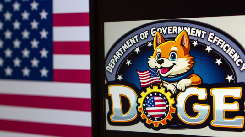 The cartoon D.O.G.E. logo on an iPad, against an American flag background.