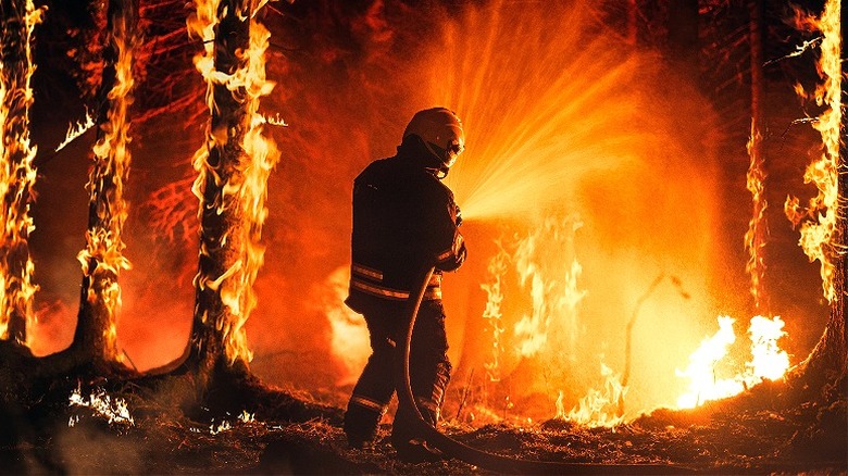 Firefighter surrounded by burning forest