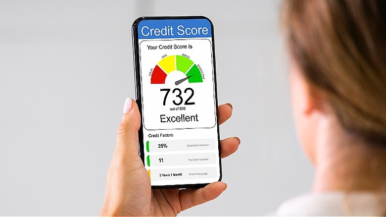 Person reviewing 732 credit score