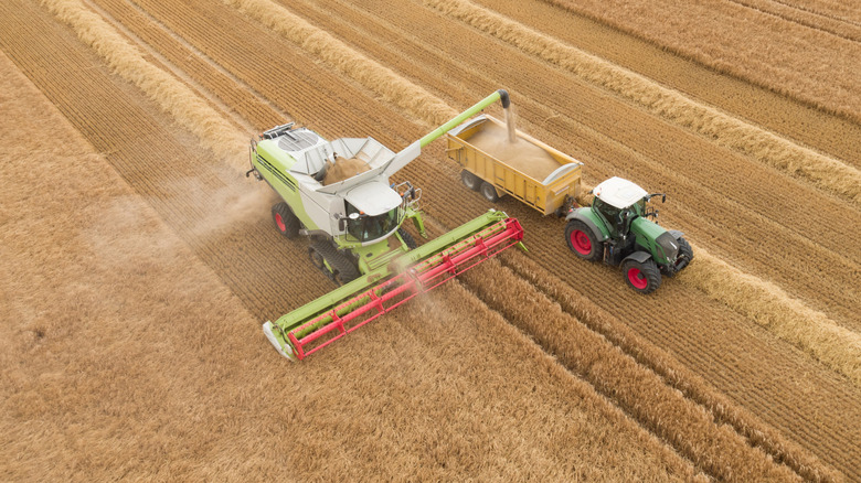 harvesting crops, view from above