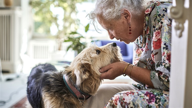 Person playing with her dog