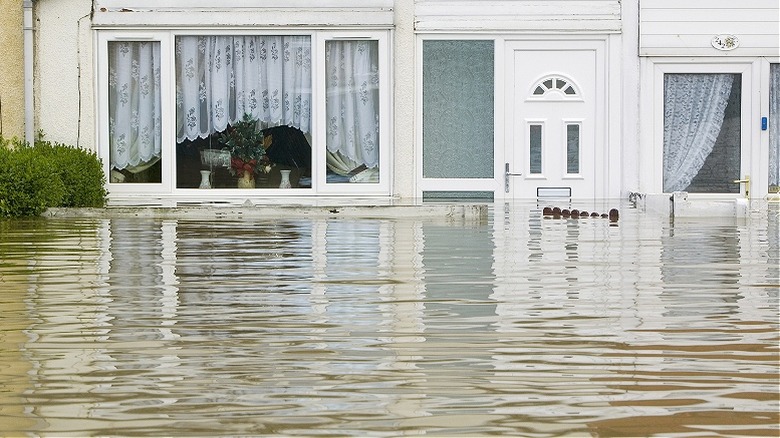 Exterior view flooded row homes