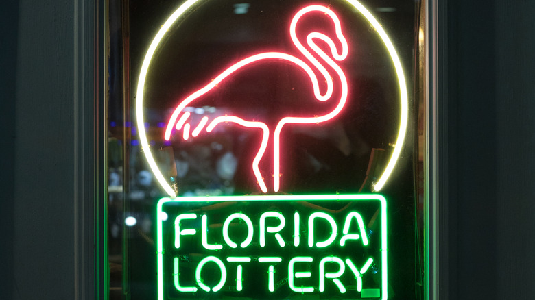 A neon sign of a flamingo and the words 