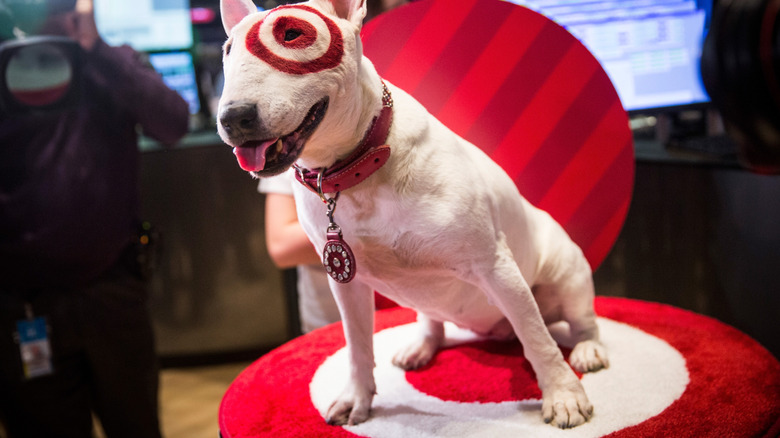 Target's mascot dog Bullseye visiting the NYSE