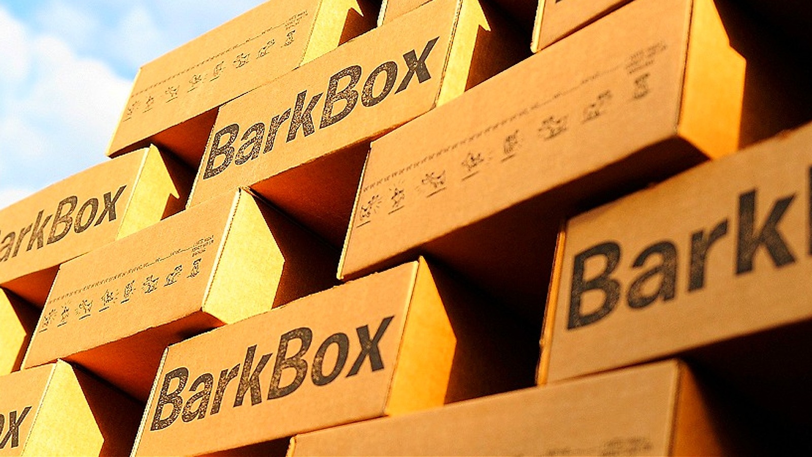 Is A BarkBox Subscription Really Worth The Price?