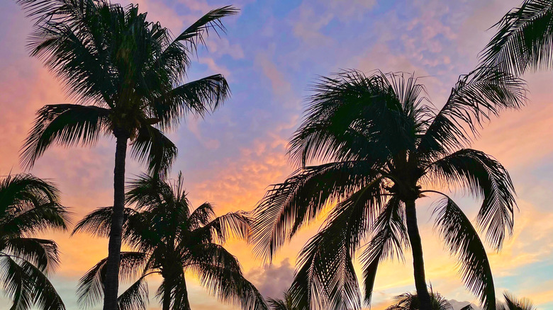 Bahamian Sunset