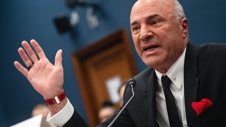 Kevin O'Leary testifies for Congress