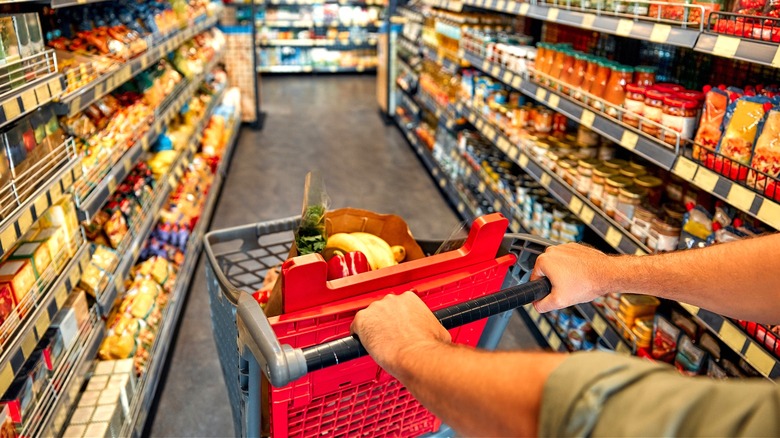 Person pushing grocery shopping cart