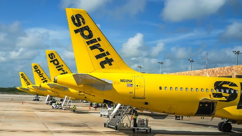 Multiple Spirit Airlines planes at airport