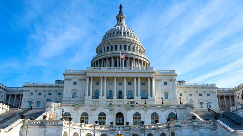 The U.S. Capitol