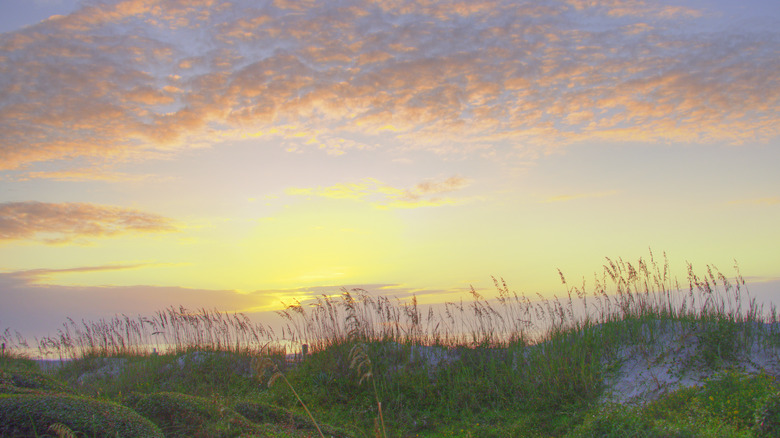 A beautiful beach sunrise over seagrass on Hilton Head Island, South Carolina.