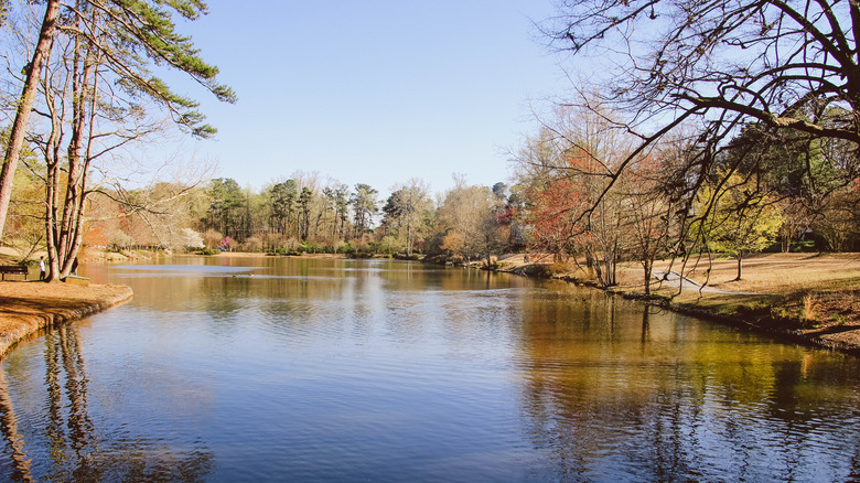 Pond in Avondale Estates