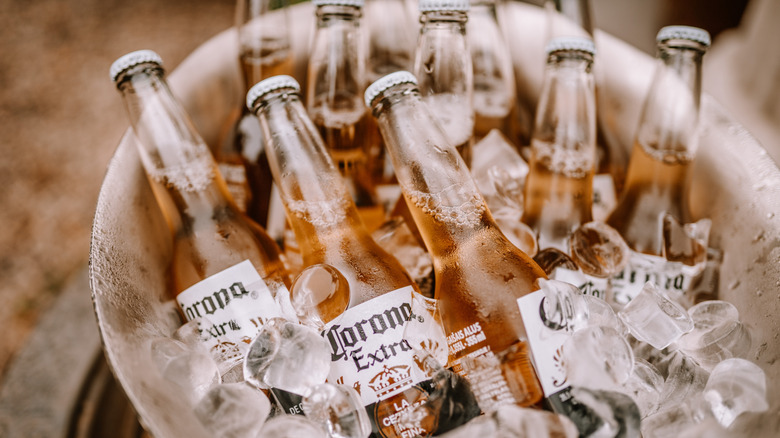 Close-up of a bucket of Corona beers