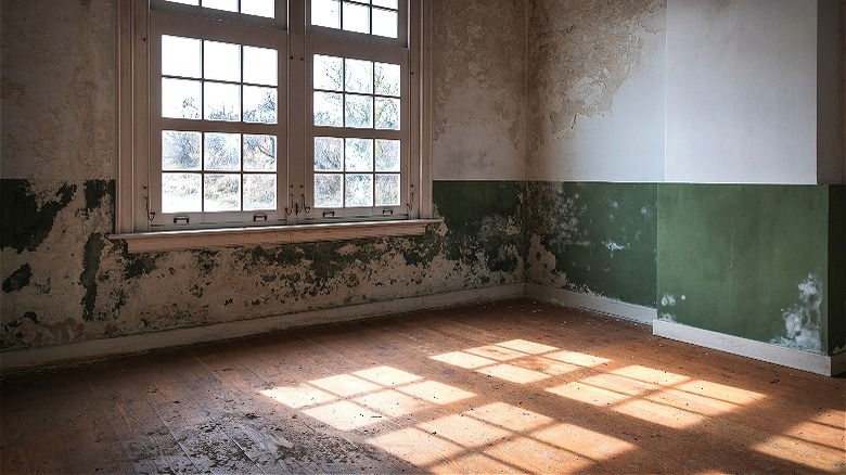 Interior of abandoned home