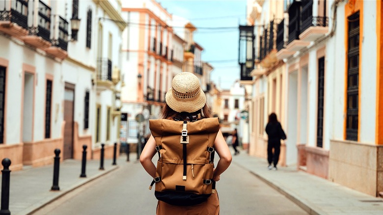 Back view of a traveler walking through a