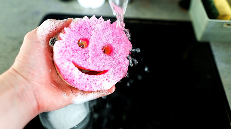 A hand holding a soap-filled pink Scrub Daddy under running water