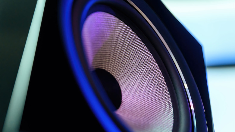 Close-up of speaker