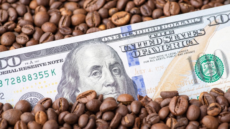 $100 bill surrounded by coffee beans