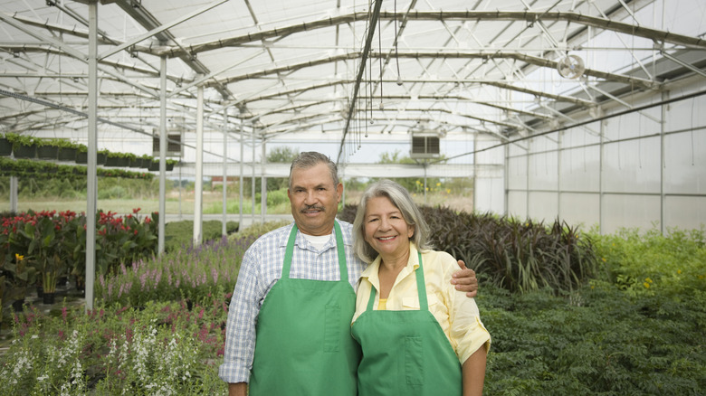 A senior couple hugging in a greenhouse surrounded by plants and flowers