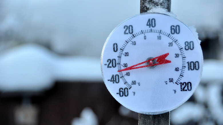 thermometer showing 30 below zero