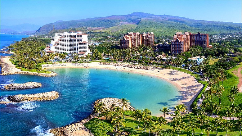 Hawaii beach cove with hotels