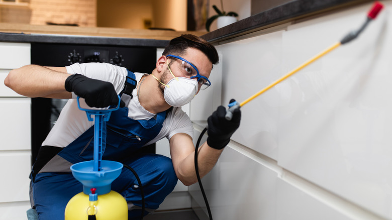 An exterminator in protective workwear spraying pesticide in apartment kitchen.