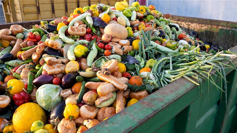 Wasted produce in dumpster