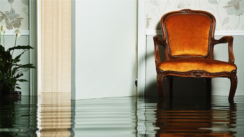 Midcentury modern orange chair in flooded home living room