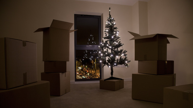 Christmas tree among moving boxes