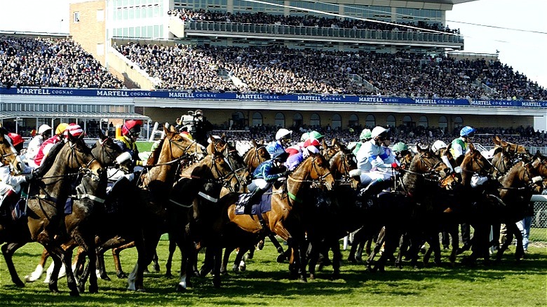 Aintree Grand National in 2003