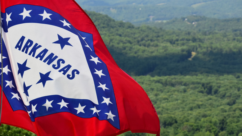 Arkansas flag waving outdoors