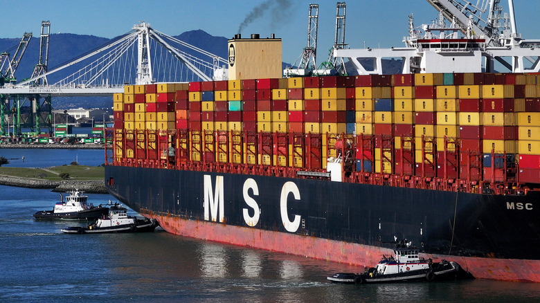 Container ship docks in the water