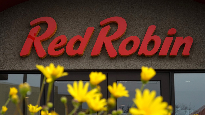 Sunny yellow flowers bloom in the foreground of a Red Robin storefront.