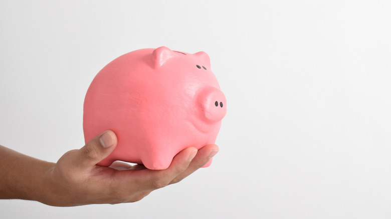 Person holding a piggy bank