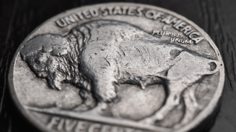 An extreme closeup of a United States Buffalo Nickel, with the reverse (tails) Buffalo side in focus.