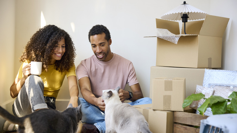 A millennial man and woman sitting on the floor and petting cats