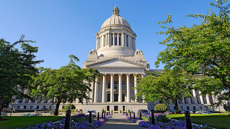 Trees partially obscure Washington capitol building