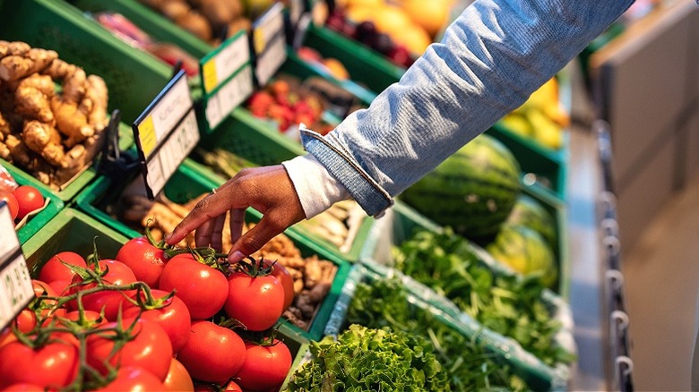 Person picking up a tomato