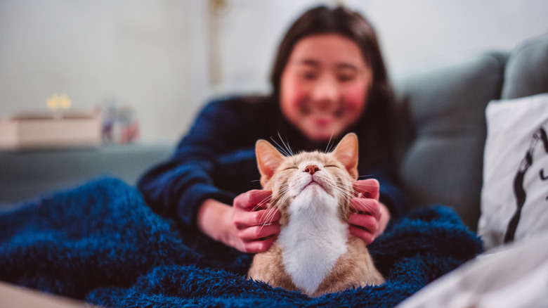 A teenage girl scratching her ginger tabby cat's face