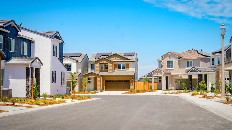 A street filled with large suburban homes